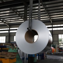 Bear Neck Foil